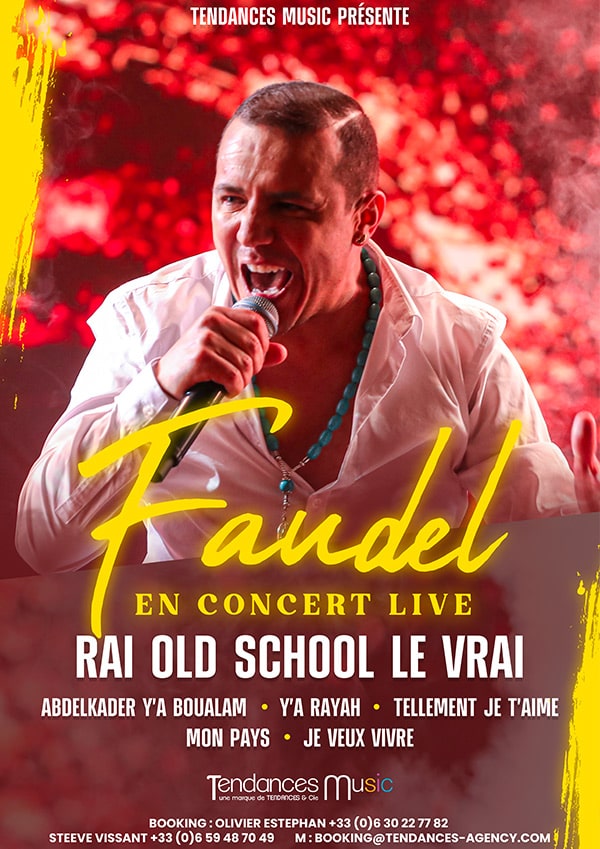 Affiche Faudel en concert live - Un spectacle Tendances Music